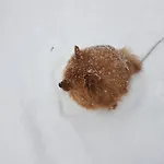 Gasthuis Rio Aosta-servizi Di 4*