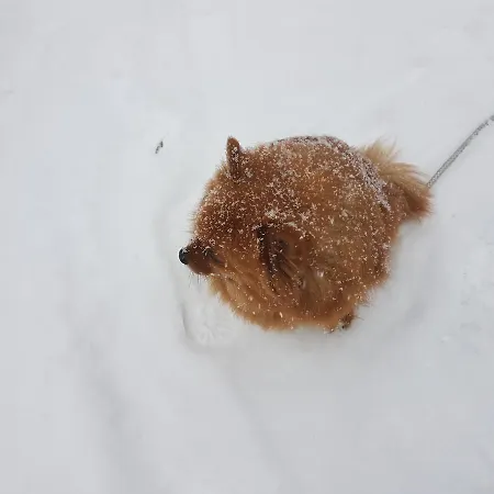 Πανσιόν Rio Aosta-servizi Di 4*