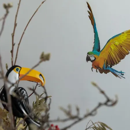 Πανσιόν Rio Aosta-servizi Di 4*