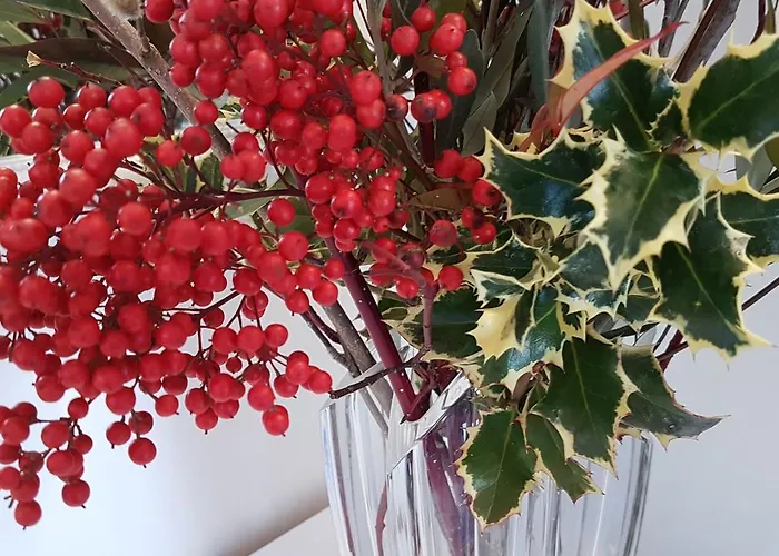 Rio Aosta-servizi Di 4*