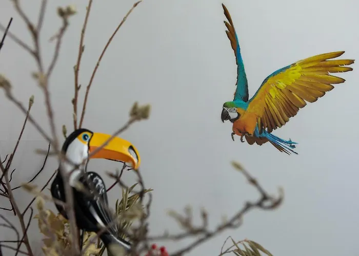 Gasthuis Rio Aosta-servizi Di 4*